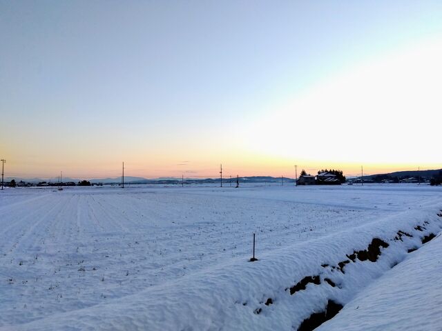IMG_2023-12-28-16-38-53-614~2.jpg