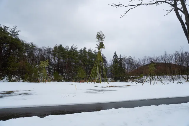 越後の木綿 いま むかし