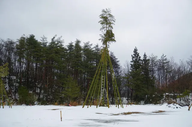 越後の木綿 いま むかし