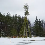 越後の木綿 いま むかし