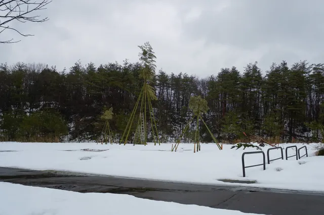 越後の木綿 いま むかし