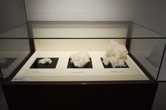 越後の木綿 いま むかし