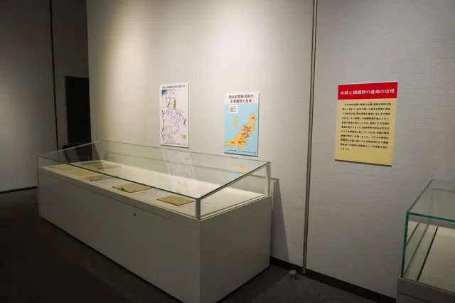 越後の木綿 いま むかし