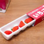 ヤマザキのクリスマスケーキ