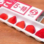 ヤマザキのクリスマスケーキ