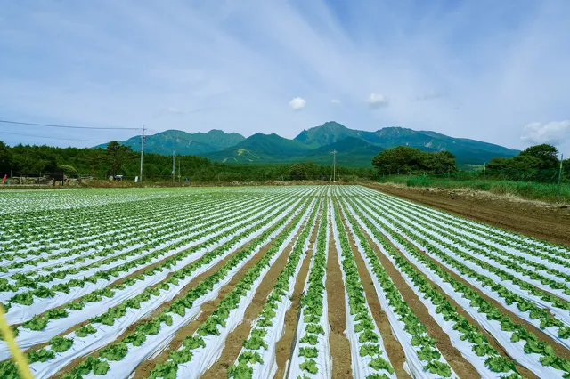 野辺山の旅2023