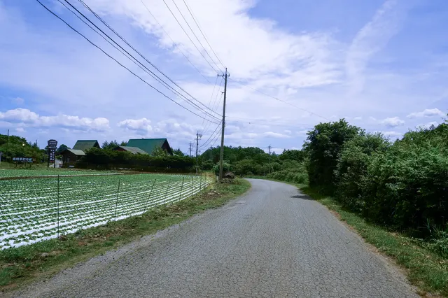 野辺山の旅2023