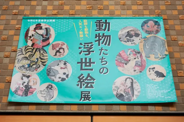 DSC01560.webp