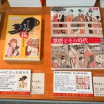 新潟県立歴史博物館 ミュージアムショップ