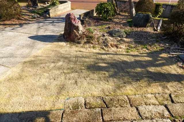 芝生化計画2023
