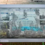 フィッシャーマンズケープ