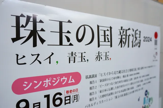 DSC00176.webp