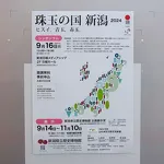 新潟県立歴史博物館2024秋季テーマ展 珠玉の国新潟