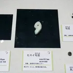 新潟県立歴史博物館2024秋季テーマ展 珠玉の国新潟