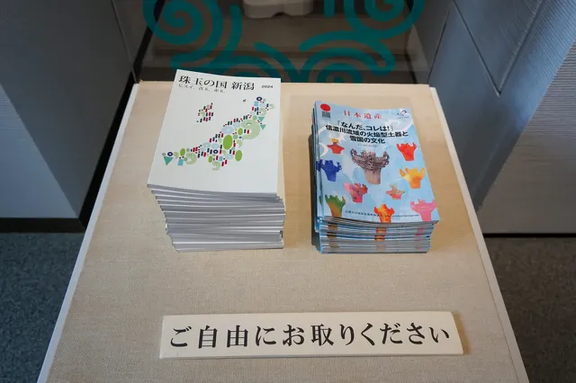 DSC00274.webp