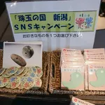 新潟県立歴史博物館2024秋季テーマ展 珠玉の国新潟