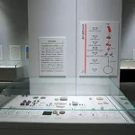 新潟県立歴史博物館2024秋季テーマ展 珠玉の国新潟