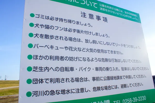 人生看