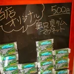 奥只見ターミナルと遊覧船