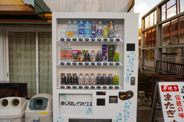 奥只見ターミナルと遊覧船