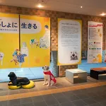 2023年度 秋季テーマ展示 守れ！文化財