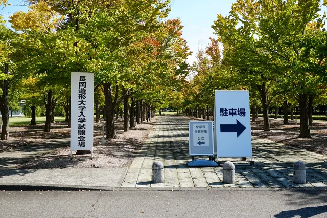 DSC00591.webp