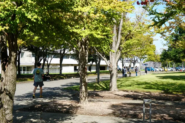 長岡造形大学総合型選抜2024