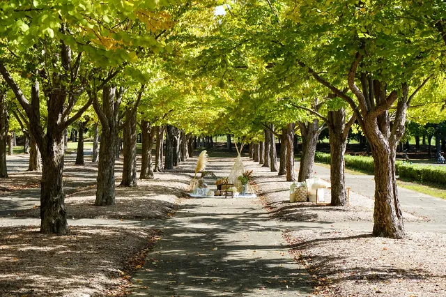 長岡造形大学総合型選抜2024