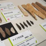 新潟県立歴史博物館2023 発掘が語る地域交流