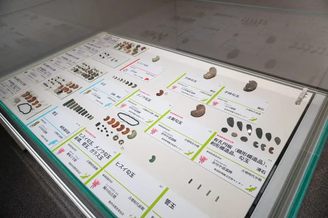 新潟県立歴史博物館2023 発掘が語る地域交流