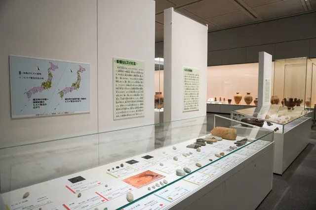 新潟県立歴史博物館2023 発掘が語る地域交流