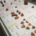 新潟県立歴史博物館2023 発掘が語る地域交流
