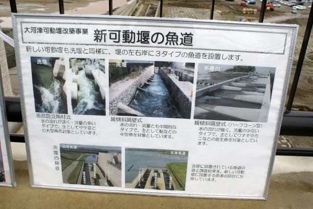 大河津可動堰現場見学会