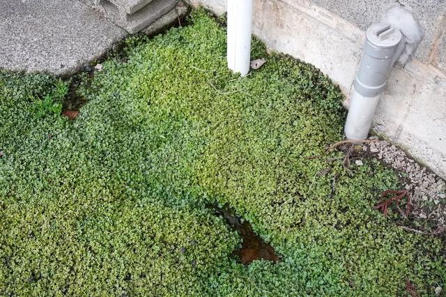 水道管修理