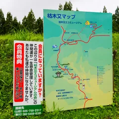 8月18日