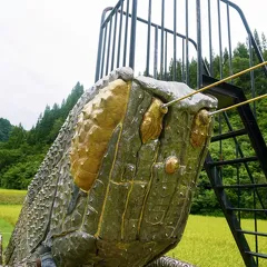 8月26日
