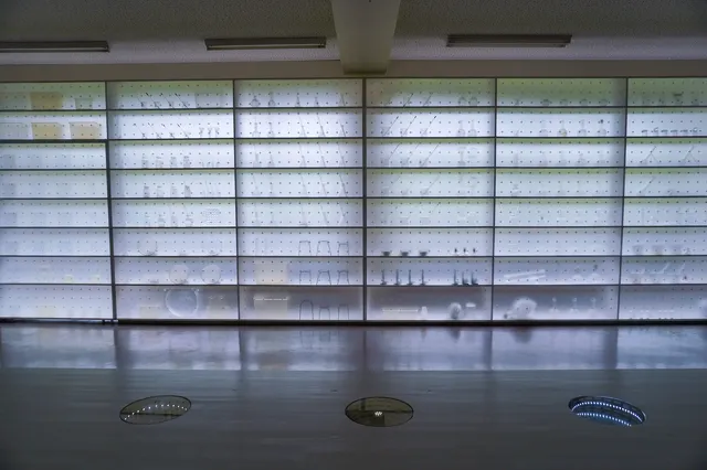 大地の芸術祭2022 Day13