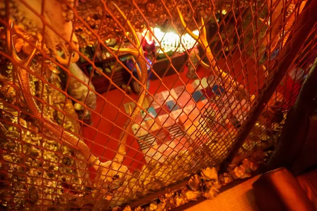 大地の芸術祭2022 Day13