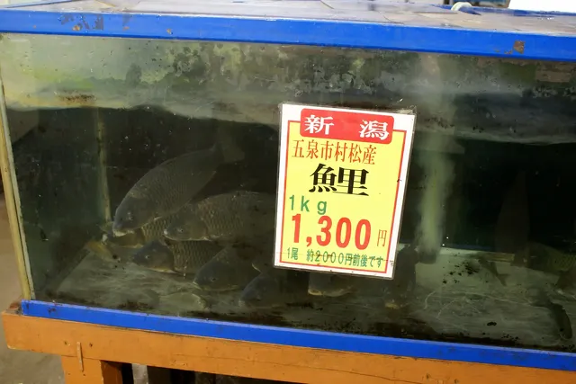会津若松の旅2014春