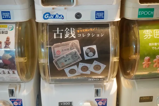 新潟県立歴史博物館 ミュージアムショップ