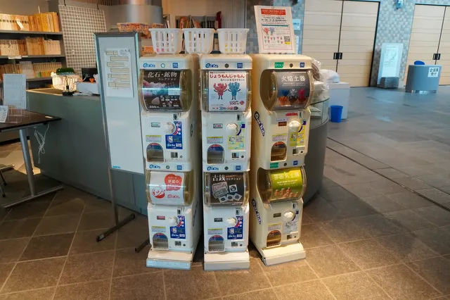 新潟県立歴史博物館 ミュージアムショップ