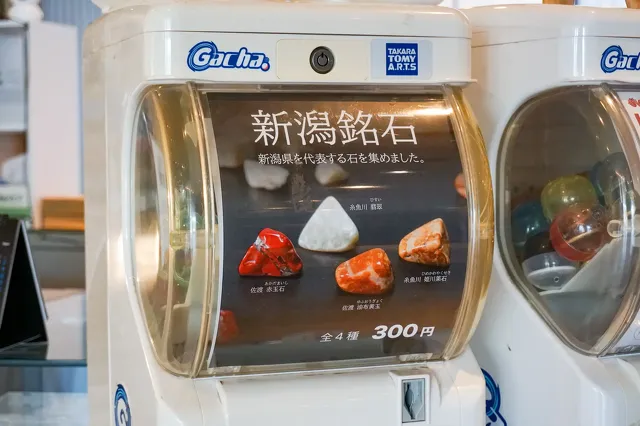 新潟県立歴史博物館 ミュージアムショップ