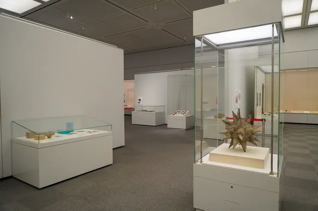2025年度 秋季企画展 飴・糖・あめ